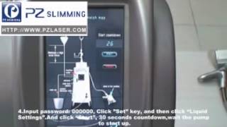 2013 New PZ LASER 3 handles cryolipolysis machine cellulite reduction machine fat freeze