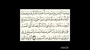 سورة الاحقاف #سورةالفاتحة #اكسبلور #سورةالكوثر #تيك_توك #لايك #المصحف #سورةالاخلاص