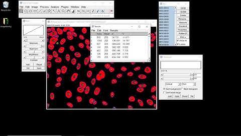 Introduction to Fiji 4