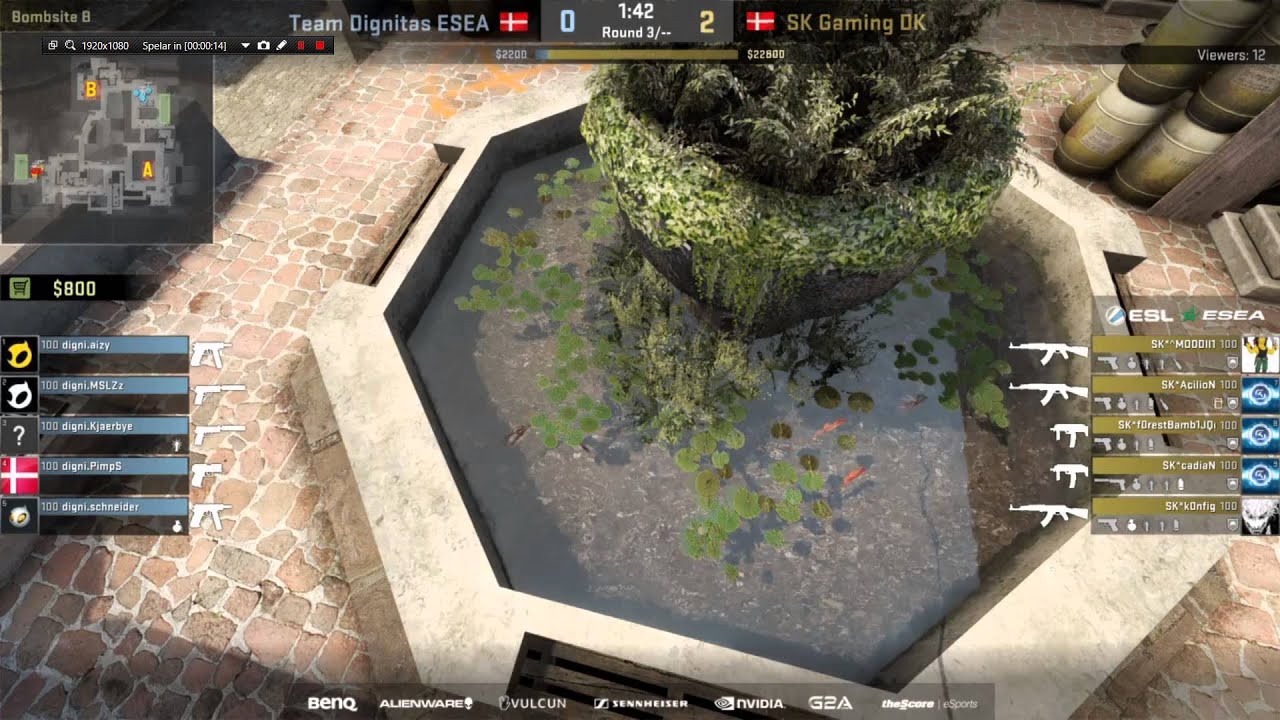 CS:GO Room on fire Anders and Semmler jokes about fish - YouTube