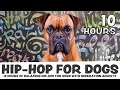 10 hours of calming hiphop music for dogs with separation anxiety