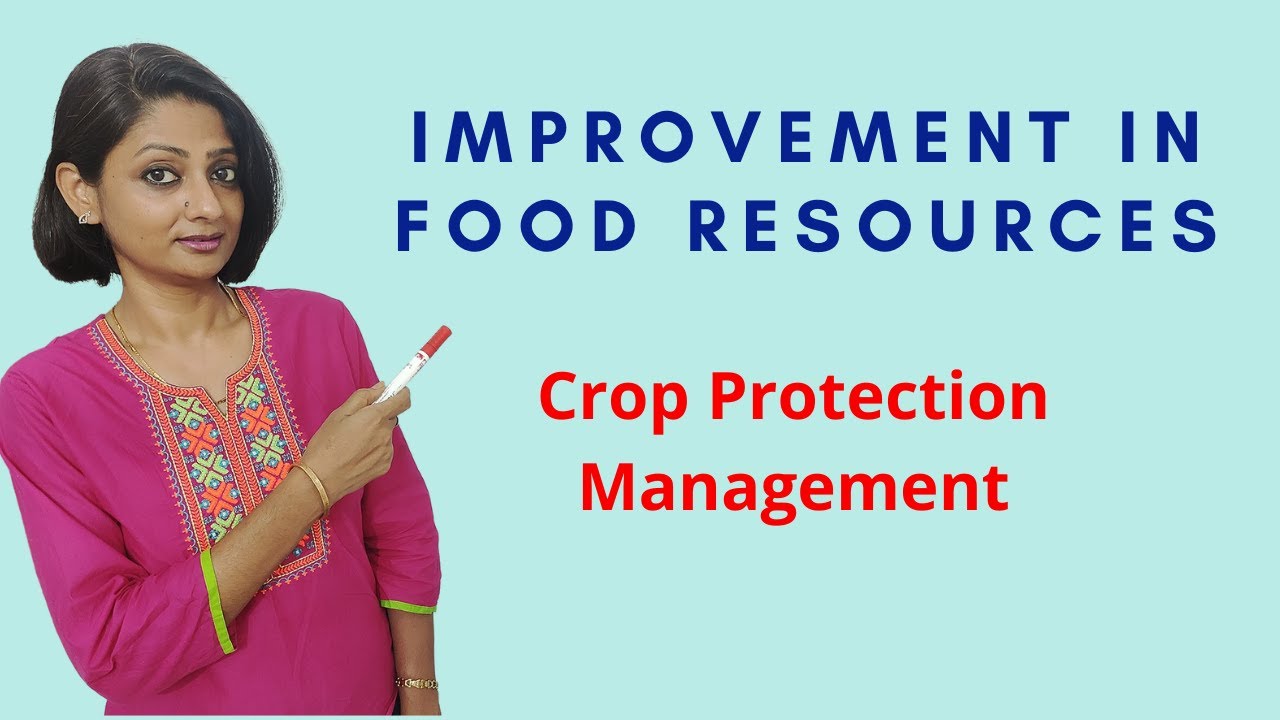 Crop Protection Management Improvement in Food Resources Class 9