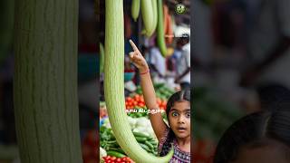 I Planted Snake Gourd at Home | You Won’t Believe How Fast It Grew |  #shorts