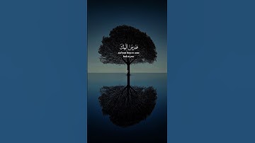قران كريم #تلاوة_خاشعة بصوت جميل القارئ #عبدالرحمن_مسعد #قرآن #راحة_نفسية