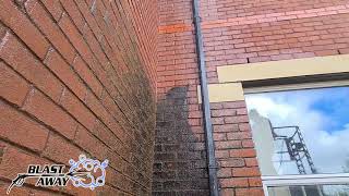 Big Algae & Moss Stain in Corner of Building. I Wonder Why? by Blast Away 2,833 views 3 years ago 3 minutes, 39 seconds