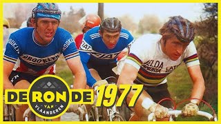 All against MERCKX - Tour of Flanders 1977 - 🇧🇪DE RONDE VAN VLAANDEREN🇧🇪