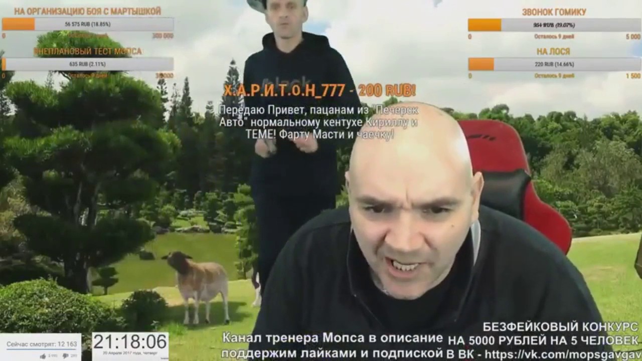 МОПС КИЛЛЕР АНДРЮХА ТЕРПИЛО И ПРО КАК МОПСА НА 2 АЙФОНА