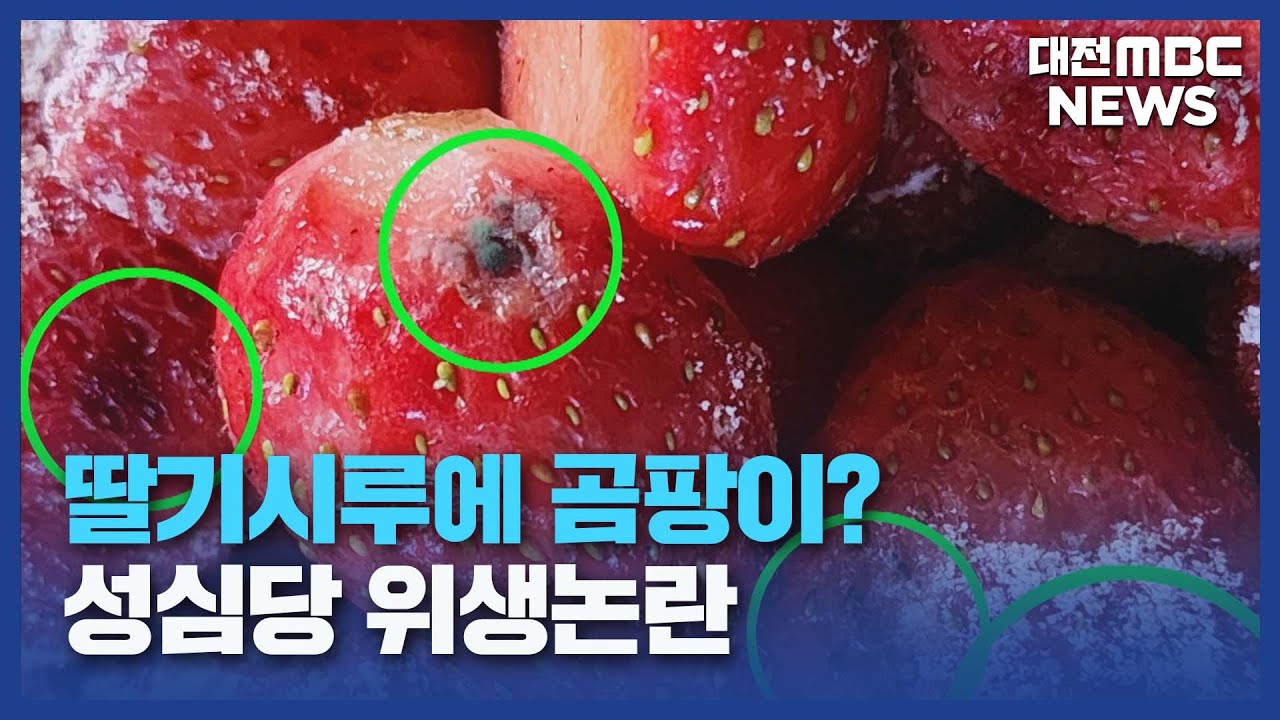 딸기시루에 곰팡이?...성심당 