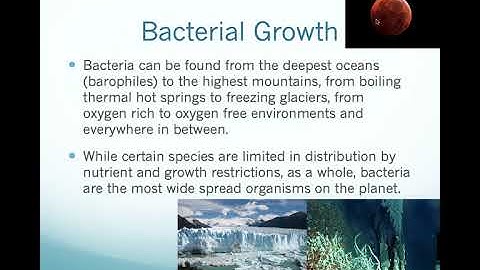 Lecture 3 Tools of the Microbiology Lab