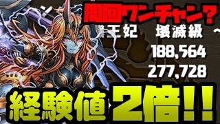 マシンヘラ降臨の経験値が2倍だと！？早速行ってみた！【パズドラ】