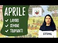 ORTO di APRILE: lavori e semine da fare ora