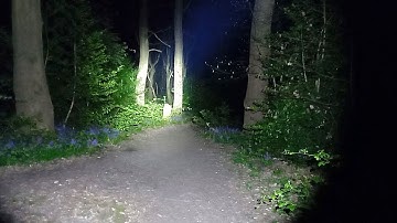 Fenix TK20R V2.0 Flashlight Video 3 - Night footage in the woods - medium range