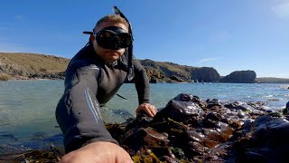 WILD SNORKELLING in the Canyon at KYNANCE COVE, Cornwall (4K) by Ayaan Chitty 406 views 1 year ago 3 minutes, 32 seconds