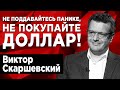 Шмыгаль, Шевченко и Зеленский гробят экономику Украины. Виктор Скаршевский