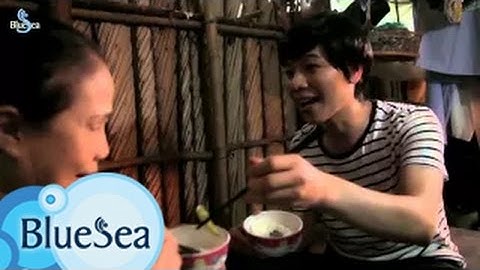 Quê Hương Mấy Nhịp Cầu Tre - Nguyễn Tâm [Official MV]