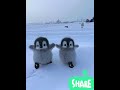 penguins #cute #cuteanimal #penguinshorts#newbornbaby  @sukhmanikaur9749 #rabbit #funny #babyanimal
