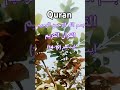 Surah Zamar Ayat 14 19 Urdu Translation Islami Video Alquranulkrim Translationquranandislam рџ ірџ Ірџ Њрџ рџ Њ Surah Zamar Ayat 14 19 Urdu Translation Islami Video Alquranulkrim Translationquranandislam рџ ірџ Ірџ Њрџ рџ Њ