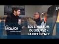 Sol linolum lino ou sol pvc  quelle diffrence   forbo flooring systems