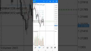 Famous Ref Wayne's strategy 100% accurate 2023 Profile