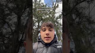 #romania #shortsviral #shortvideo #rustgame #automobile #contentcreator #newvideo #rust #shortfilm