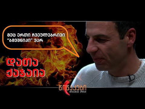 #წიწაკები - დათა ქაჯაია