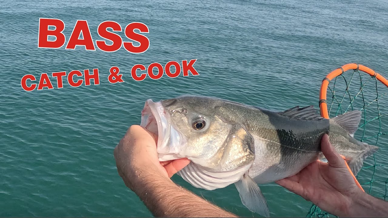 Bass Fishing | Catch and Cook