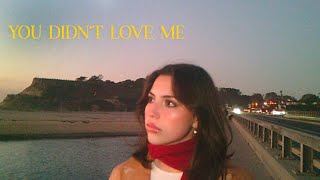 nikole santaella - You Didn't Love Me (Official Visualizer)