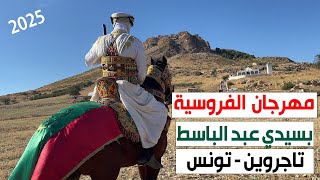 مهرجان الفروسية "سيدي عبد الباسط" 2025 تاجروين - تونس