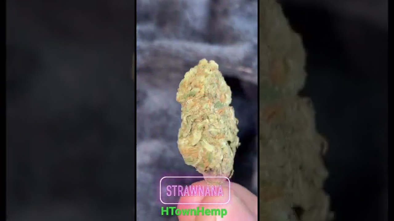 HTownHemp Strawnana bud (CBD Flower)