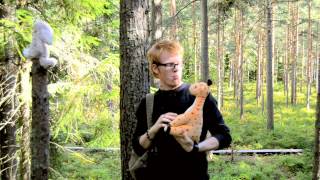 Devin Townsend Project - Lucky Animals Participation Video