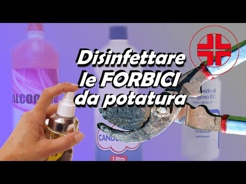 DISINFETTARE FORBICI DA POTATURA