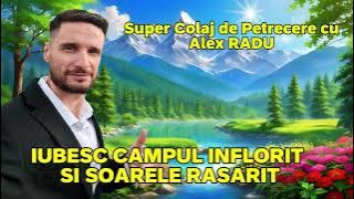 ALEX RADU - IUBESC CAMPUL INFLORIT (COVER) || SUPERCOLAJ DE PETRECERE