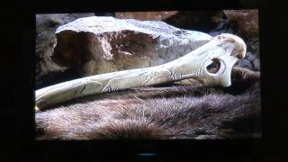 Antler Baton/Flint Point