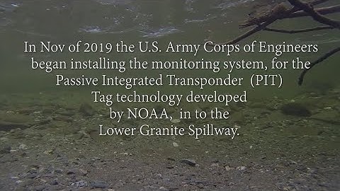 Passive Integrated Transponder