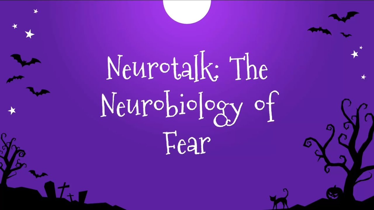 Neurotalk: The Neurobiology of Fear | 🎃 Halloween Special | fibrous.astrocyte