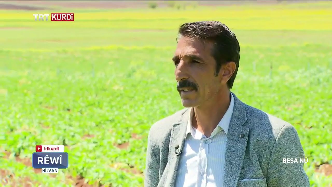 RÊWÎ (YOLCU) BEŞA  319 (ŞANLIURFA-HİLVAN)