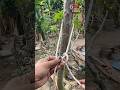 #Knots #KnotTying #RopeSkills #KnotHacks #UsefulKnots