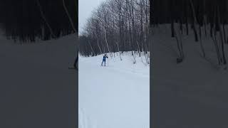 L kick double pole flat