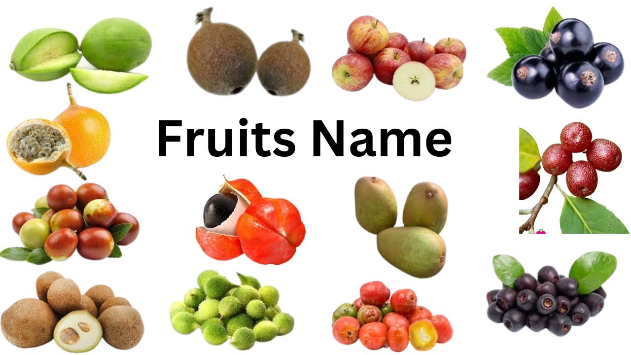 Fruits Name Start With LETTER G H I J K Fruits List Fruits fruits-name-start-with-letter-g-h-i-j-k-fruits-list-fruits