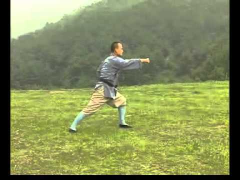 Master Shi Guo Song Shaolin Meihua Boxing Style De...