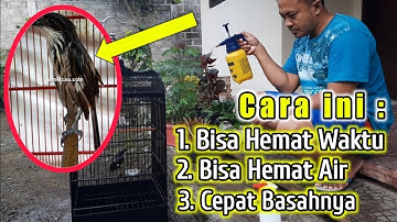 SOLUSI UNTUK CENDET YANG BULUNYA SUSAH BASAH SAAT DIMANDIKAN