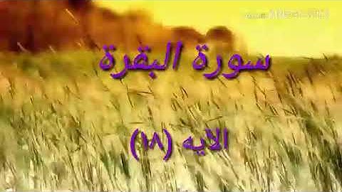 سورة البقرة اية ١٨ جمال القرش