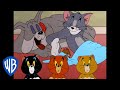 Tom & Jerry em Português | Brasil | Será que Eles Conseguem Viver em Paz? | WB Kids