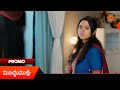 Mukkera Meenakshi - Promo | 28 May 2026 | Telugu Serial | Sun Gemini