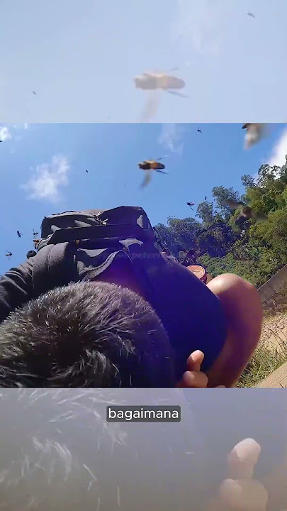 His Theory Failed, This Man Was Attacked by Hundreds of Wasps!