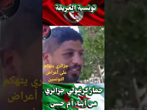 جزائري كرغلي يتطاول على أعراض التونسيين
