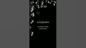قَالَ رَبِّ إِنِّي دَعَوْتُ قَوْمِي لَيْلًا وَنَهَارًا /ماهر المعيقلي تلاوة جملية