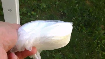 Abba Patio 10x10Ft Outdoor Pop Up Portable Folding Canopy APFGA1010W - BizarkDeal