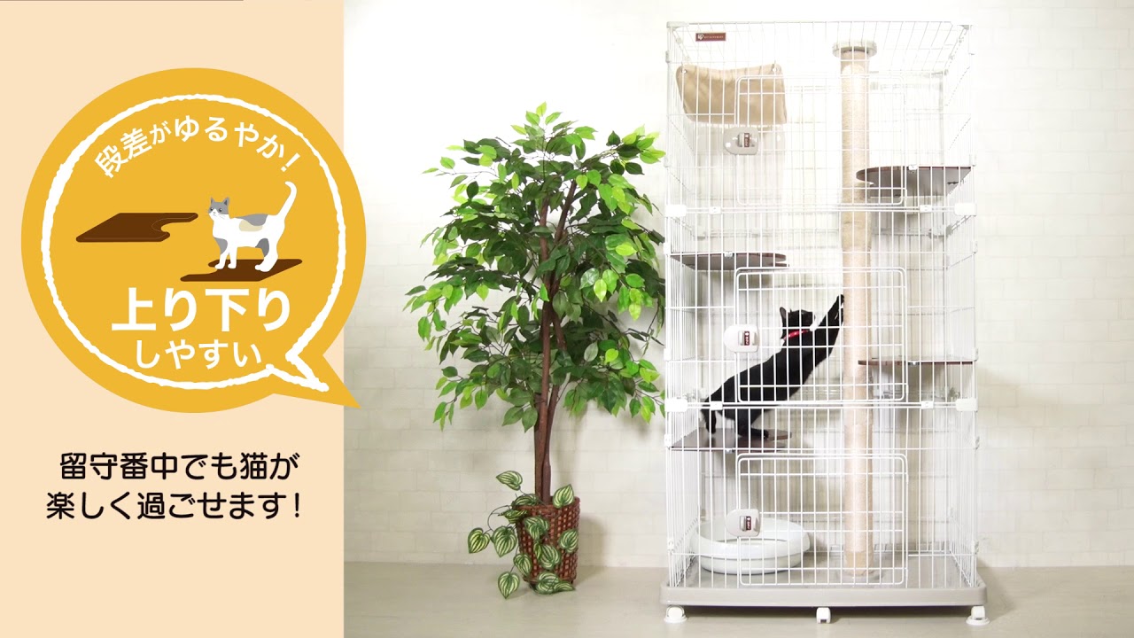 楽天市場 レビュー記入でおまけプレゼント 猫 ケージ ゲージ キャットランドケージ ワイド Pclc 903 猫 ケージ 3段 キャットタワー キャットケージ 3段 猫 タワー キャットランド ゲージ ハウス キャットゲージ ランド つめとぎ ハンモック キャットランド