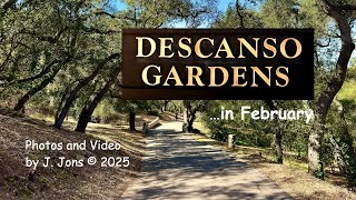 Visiting the Descanso Gardens in February